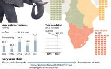 Graphic on African elephants, facing an alarming decline in numbers due to poaching for ivory. Source: AFP.