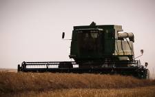 A combine harvester harvests the 2015 wheat fields in the Swartland district. This year has been plagued by severe water shortages. Picture: Anthony Molyneaux/EWN