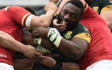 Tendai Mtawarira during Springboks vs Wales match. Picture: Rugby World Cup ‏@rugbyworldcup.