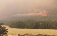 FILE: Greyton wildfire. Picture: Greater Overberg FPA/Facebook.




