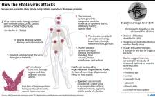 A fact file on how the Ebola virus attacks after a new outbreak in the Democratic Republic of Congo. Picture: AFP.