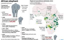 A timeline looking at the dwindling numbers of the African elephant. Picture: AFP