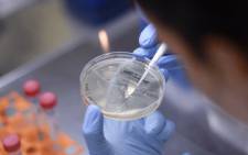 FILE: A researcher works on the development of a vaccine against the new coronavirus. Picture: AFP