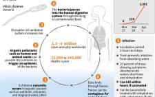 Factfile on cholera and confirmed cases in Mozambique. Picture: AFP