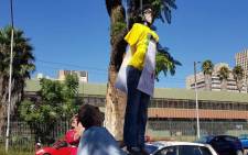 The effigy of Gauteng Education MEC Panyaza Lesufi being hung in a tree by two men in Pretoria. Picture: @Lesufi/Twitter