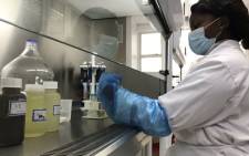 Microbiology Ph.D. candidate Noluxabiso Mangwana tests a wastewater sample for COVID-19. Picture: Kevin Brandt/Eyewitness News