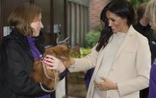 Meghan, Duchess of Sussex meets a dog named "Foxy" during her visit to the animal welfare charity Mayhew in London on 16 January 2019. Picture: AFP