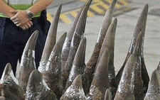 Rhino horn bust at the OR Tambo International Airport. Picture: @ArriveAlive