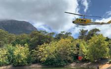 A Working on Fire helicopter demonstrates how it collects water in the Table Mountain National Park area to put out a fire on 26 February 2020. Picture: Kaylynn Palm/EWN