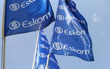 Eskom flags. Picture: EWN.
