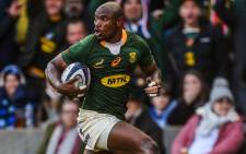 Makazole Mapimpi scores a try during a match against Scotland on 13 November 2021. Picture: Springboks.