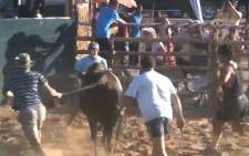 FILE: Evidence from previous rodeos was presented to demonstrate the show cruelty of this activity. Picture: EWN.