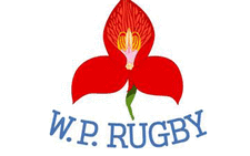 The player - who the Rugby Union didn’t want to name - is believed to have suffered cardiac arrest. Picture: Western Province website.
