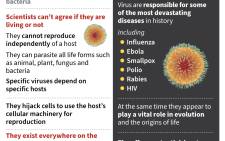 Is a virus living or not? Check out the fact file below on viruses, which are among the most abundant organisms on the planet. Picture: AFP