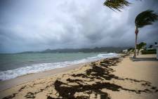 A picture taken on 5 September 2017 shows a view of the Baie Nettle beach in Marigot, with the wind blowing ahead of the arrival of Hurricane Irma. Picture: AFP.