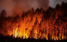 A photo shows a forest fire in Louchats, south-western France, on 17 July 2022. Picture: THIBAUD MORITZ/AFP