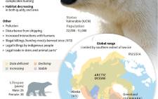 Factfile on polar bears, whose survival is threatened by global warming and related threats. Picture: AFP