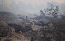 Tree stumps burn as firefighters manager parts of the George wild fire in the Southern Cape. Picture: Bertram Malgas/EWN