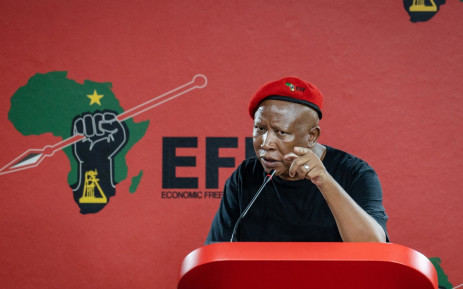 Julius Malema - Figure 1