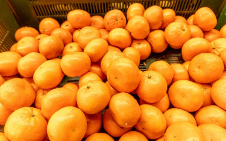 FILE: Citrus imported from South Africa will now be required to undergo extreme cold treatment to stave off false codling moth contamination. Picture: 123rf.com 