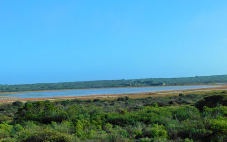 The Rocherpan Nature Reserve on the West Coast of the Western Cape. Picture: @CapeNature1/Twitter