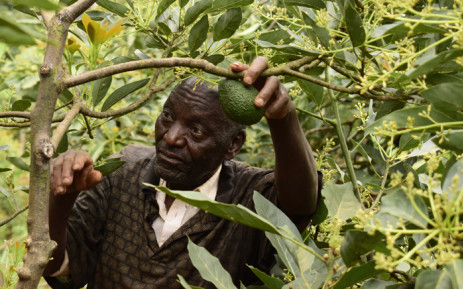 Image result for farmers in Kenya