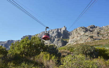 A general view of Table Mountain cable car going up the mountain. Picture: @TableMountainCa/Twitter.