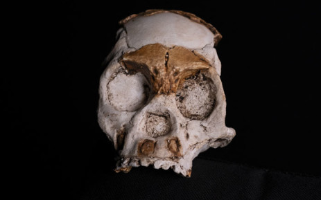 This photograph taken in Johannesburg on 4 November 2021 shows a full-scale reproduction of the skull of a hominid named Leti, named after a setswana word "Letimela" meaning "the lost one", found inside the Rising Star Cave System at the Cradle of Humankind World Heritage Site near Maropeng. Picture: Wikus de Wet/AFP