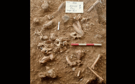 A pictured released by Tel Aviv University and the Hebrew University of Jerusalem on 24 June 2021 shows the site of excavations in the quarry of a cement plant near the central city of Ramla in which researchers uncovered prehistoric remains that could not be matched to any known species from the Homo genus. Bones belonging to a "new type of early human" previously unknown to science have been found in Israel, researchers said Thursday, claiming to have shed new light on human evolution. Picture: Tel Aviv University / AFP