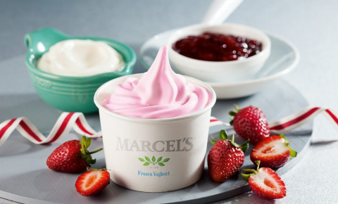 marcels-frozen-yoghurtpng