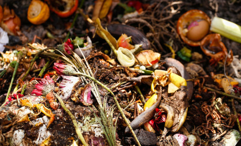 compost composting garden organic biological kitchen waste rotten food 123rf