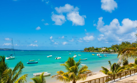 Beaches of Mauritius island. Tropical vacation 123rf