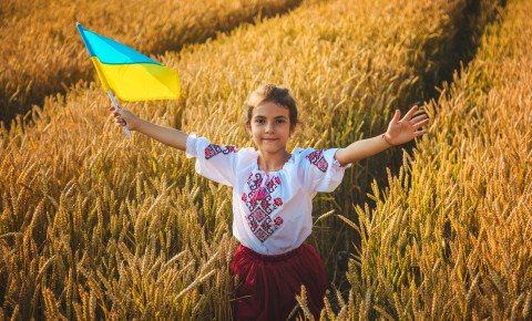 Ukraine wheat 123rf