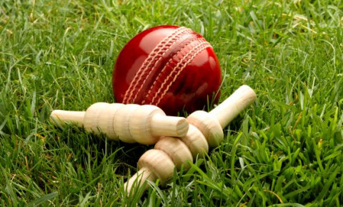 Cricket-ball-sport-123rfjpg