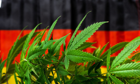 Germany German dagga cannabis marijuana flag 123rf
