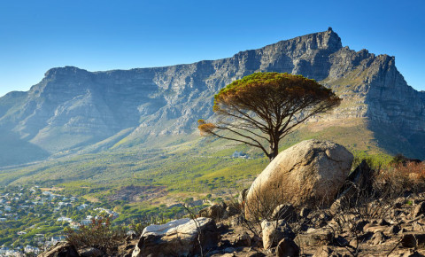 Table Mountain National Park Cape Town SANParks 123rflifestyel 123rf