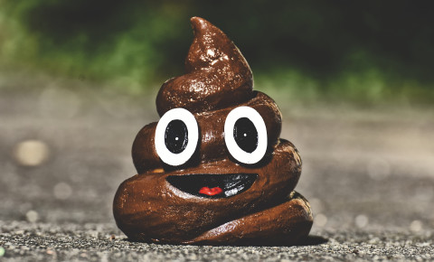 Poop pooh turd emoji pixabay