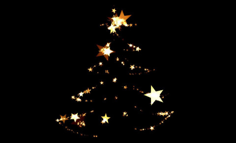 Christmas tree, festive season / Pixabay: geralt