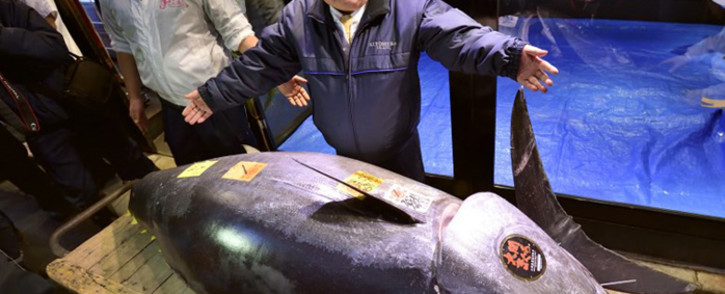 President of sushi restaurant chain Sushi-Zanmai, Kiyoshi Kimura (R), displays a 278kg bluefin tuna at his main restaurant in Tokyo on 5 January 2019. Picture: AFP.