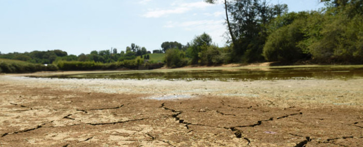 A partially dried up pond is pictured near Monfort-en-Chalosse, southwestern France, on 3 August 2022. France saw its driest July on record, the weather agency said, exacerbating stretched water resources that have forced restrictions. Picture: GAIZKA IROZ/AFP