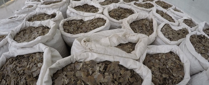 This handout photo released by Singapore's National Parks Board on 10 April 2019 and taken on 8 April 2019 shows confiscated sacks of pangolin scales in a holding area in Singapore. Picture: AFP