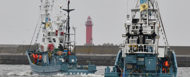 Whaling ships depart from a port in Kushiro, Hokkaido Prefecture on 1 July 2019. Whaling ships set sail on 1 July from Japan as the country resumed commercial hunts for the first time in decades after withdrawing from the International Whaling Commission. Picture: AFP