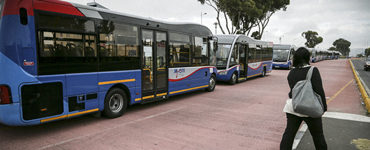 FILE: MyCiti buses. Picture: Thomas Holder/EWN