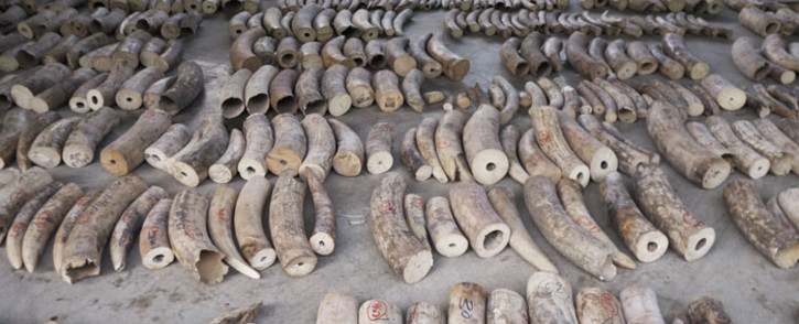FILE: Ivory stockpile. Picture: AFP