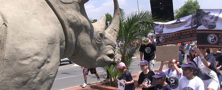 Hundreds of Johannesburg residents joined 133 other cities around the world in marching against the poaching of rhino and elephant on 4 October 2014 in Sandton. Picture: Reinart Toerien/EWN.