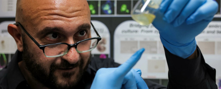 FILE: Stem cell scientist Jacob Hanna of Israel's Weizmann Institute of Science holds mouse 'synthetic embryos' grown in a lab. Picture: AFP