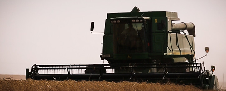 A combine harvester harvests the 2015 wheat fields in the Swartland district. This year has been plagued by severe water shortages. Picture: Anthony Molyneaux/EWN