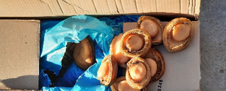 The Hawks arrested two men for the possession of dried abalone worth R9.9 million during an operation on 17 May 2021. Picture: @SAPoliceService/Twitter