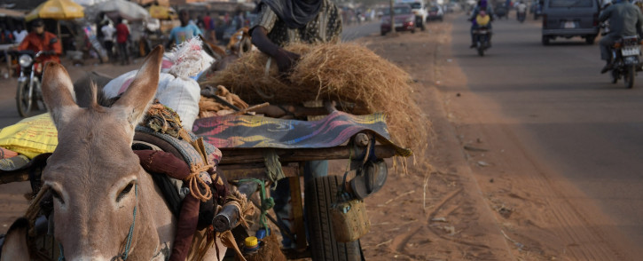 Seydou Haoudji, a man living in Zontondi in an area, affected with an alimentary crisis, arrives to sell some hay in Niamey on 28 November 2021. Picture: AFP