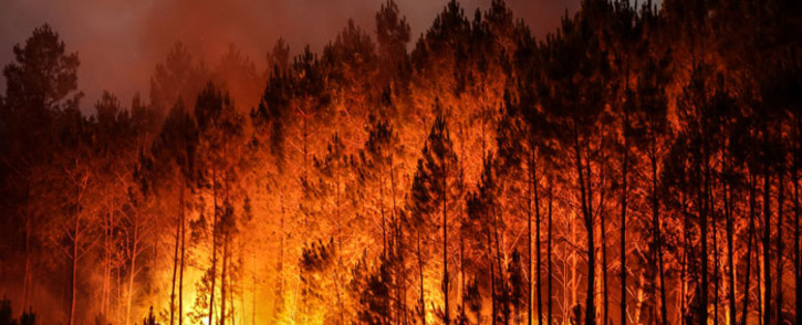 A photo shows a forest fire in Louchats, south-western France, on 17 July 2022. Picture: THIBAUD MORITZ/AFP